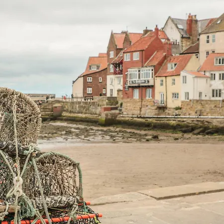 Kittiwake Whitby